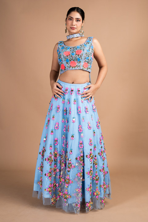 Blue Tulle Embellished Lehenga