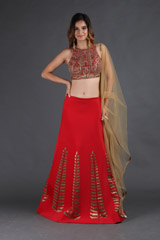 Red Neoprene LehengaIMG_3580