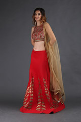 Red Neoprene LehengaIMG_3582