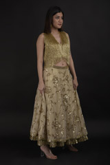 Golden Embroidered Top Bottom Set_DTR0829