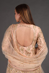 Peach Embroidered AnarkaliIMG_3533