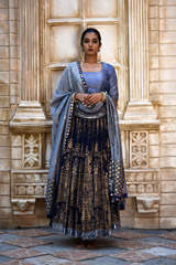 Blue Chanderi Printed Lehenga_DSC6494