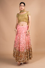 Coral Net LehengaDSC09712