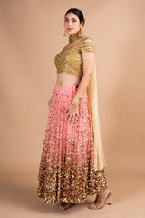Coral Net LehengaDSC09715