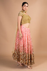 Coral Net LehengaDSC09716