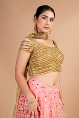Coral Net LehengaDSC09717