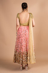 Coral Net LehengaDSC09721