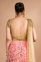 Coral Net LehengaDSC09722