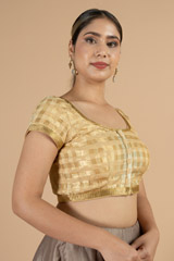 Silk Blend Saree BlouseDSC07213