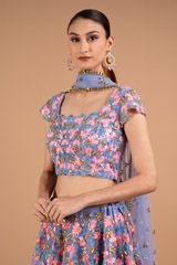 Serenity Net LehengaDSC02082