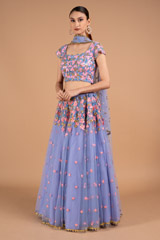 Serenity Net LehengaDSC02084