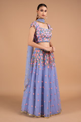 Serenity Net LehengaDSC02085