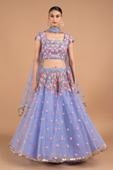 Serenity Net LehengaDSC02088