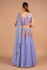 Serenity Net LehengaDSC02089