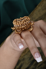Antique Golden Ring_SUB1557