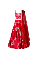 Red Embroidered Lehenga1