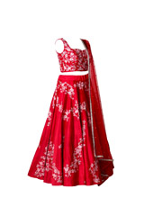 Red Embroidered Lehenga2