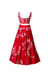 Red Embroidered Lehenga4