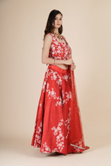 Red Embroidered Lehenga_DSC6288