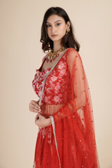 Red Embroidered Lehenga_DSC6290