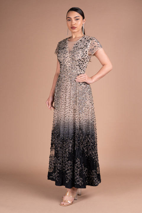 Double Shade Embellished Gown