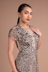 Double Shade Embellished GownDSC05389