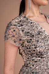 Double Shade Embellished GownDSC05390