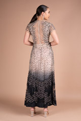 Double Shade Embellished GownDSC05392