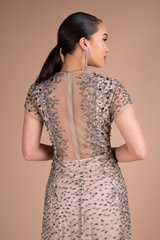 Double Shade Embellished GownDSC05393