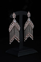 Stone Embedded EarringsIMG_0980
