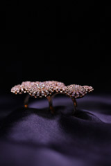 Rosegold White Stone RingIMG_0040