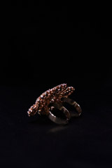 Rosegold White Stone RingIMG_0059