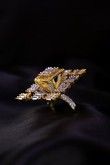 White and Golden RingIMG_0219