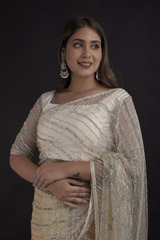 Ivory Net Saree_DTR1515