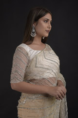Ivory Net Saree_DTR1518