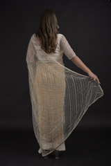 Ivory Net Saree_DTR1521