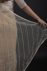 Ivory Net Saree_DTR1522