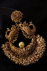 Peacock Golden ChandbalisIMG_0223