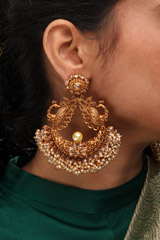 Peacock Golden ChandbalisIMG_0937