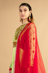 Green Georgette Aari Anarkali SuitDSC00470