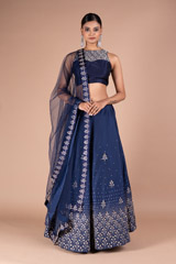 Sequin Tree Embroidered LehengaDSC05294
