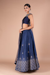 Sequin Tree Embroidered LehengaDSC05298