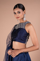 Sequin Tree Embroidered LehengaDSC05304