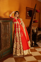 Gold Embellished Red Anarkali