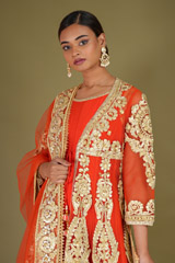 Gold Embellished Red AnarkaliDSC07244