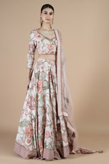 Pink Lehenga with JacketDSC08531