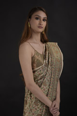 Beige Silk Saree_DTR0925