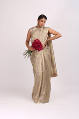 Pale Striped SareeIMG_5234