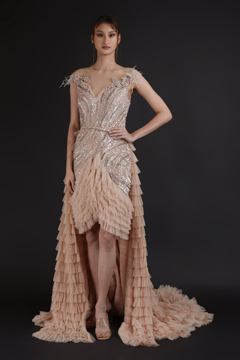 Nude Blush Embellished Gown