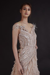 Nude Blush Embellished GownDSC07768